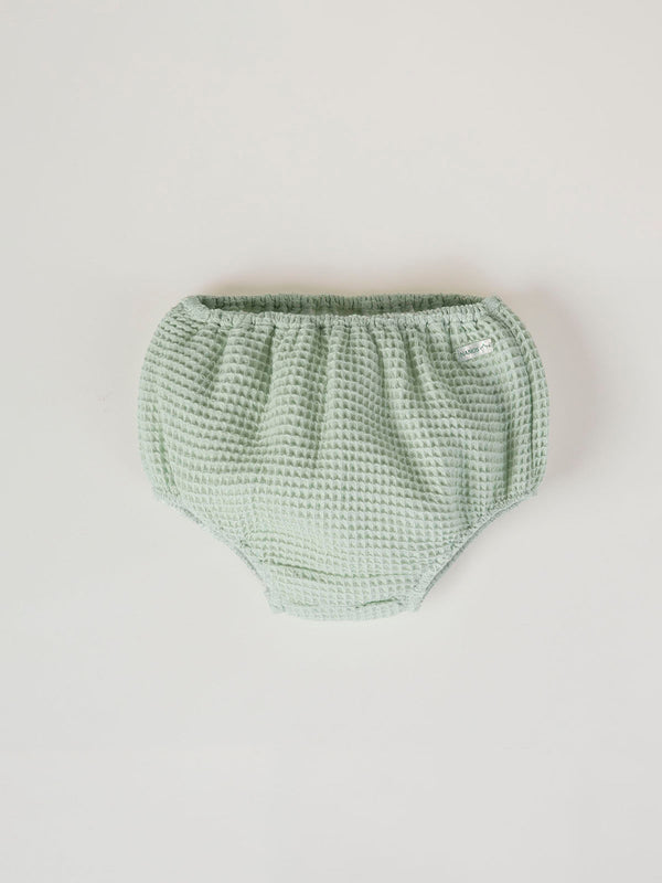 BASIC LIGHT GREEN FROG