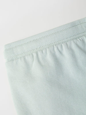 LIGHT GREEN TOWEL PATCH PLUSH SHORTS