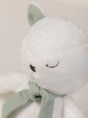 LIGHT GREEN TEDDY BEAR