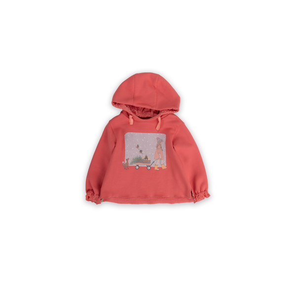 SUDADERA CAPUCHA NIÑA CARRITO ROSA FLAMINGO